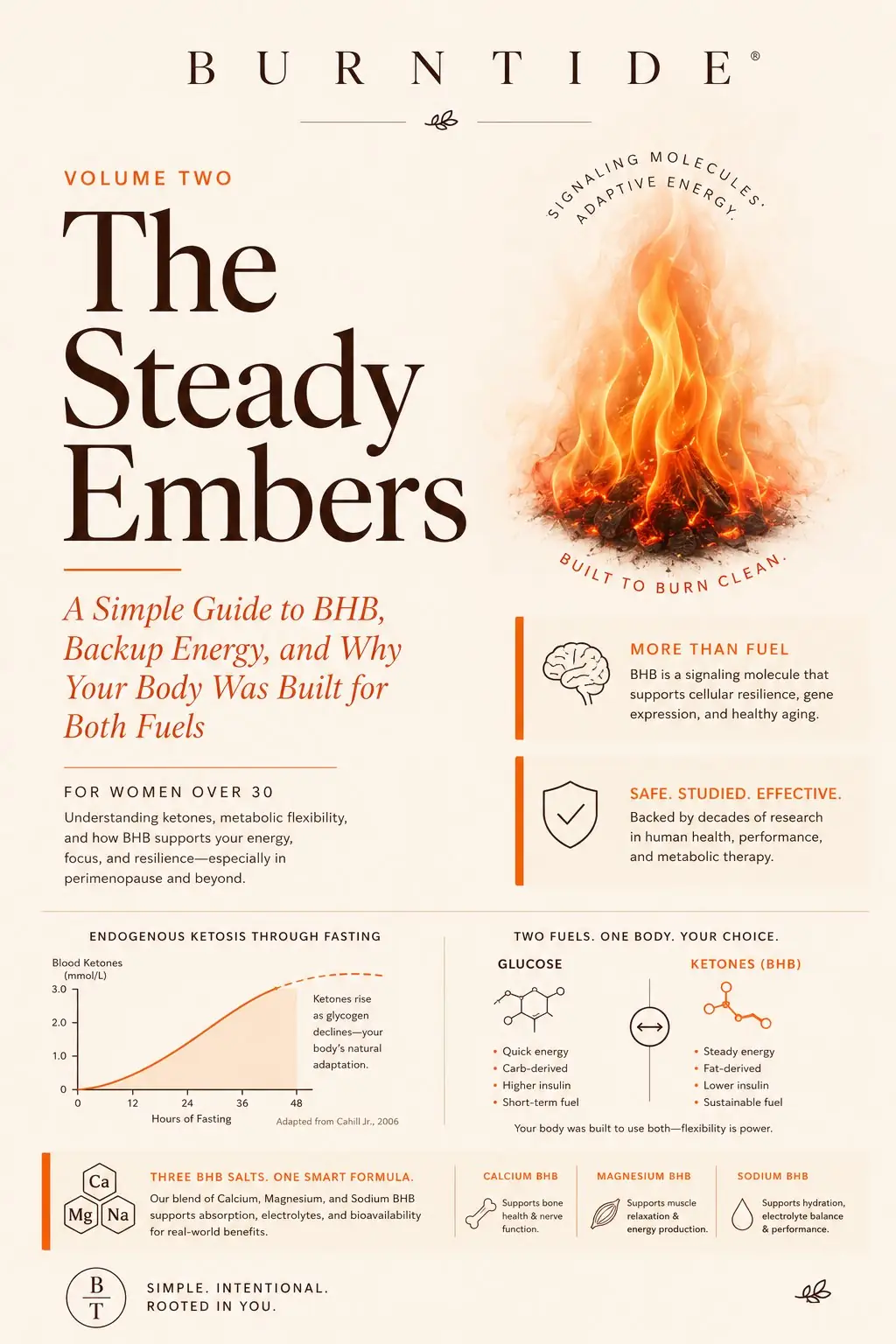 Burntide Bonus 2: The Steady Embers